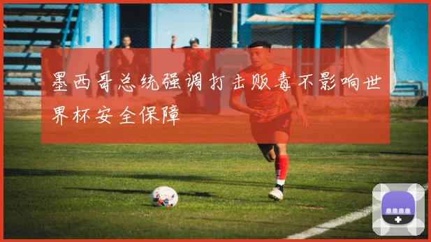 墨西哥总统强调打击贩毒不影响世界杯安全保障