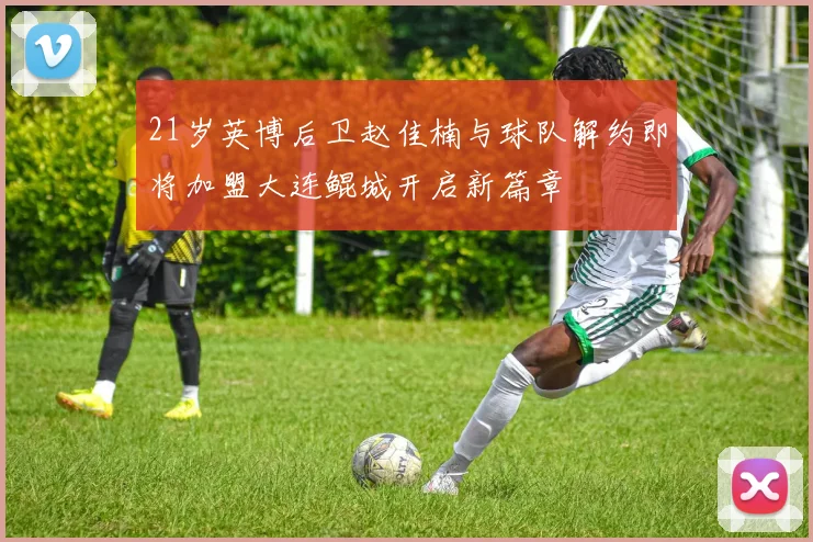 21岁英博后卫赵佳楠与球队解约即将加盟大连鲲城开启新篇章